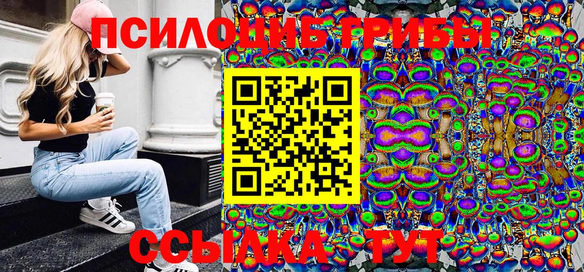 Красный Сулин  Псилоцибиновые грибы мухоморы  Вход с VPN 