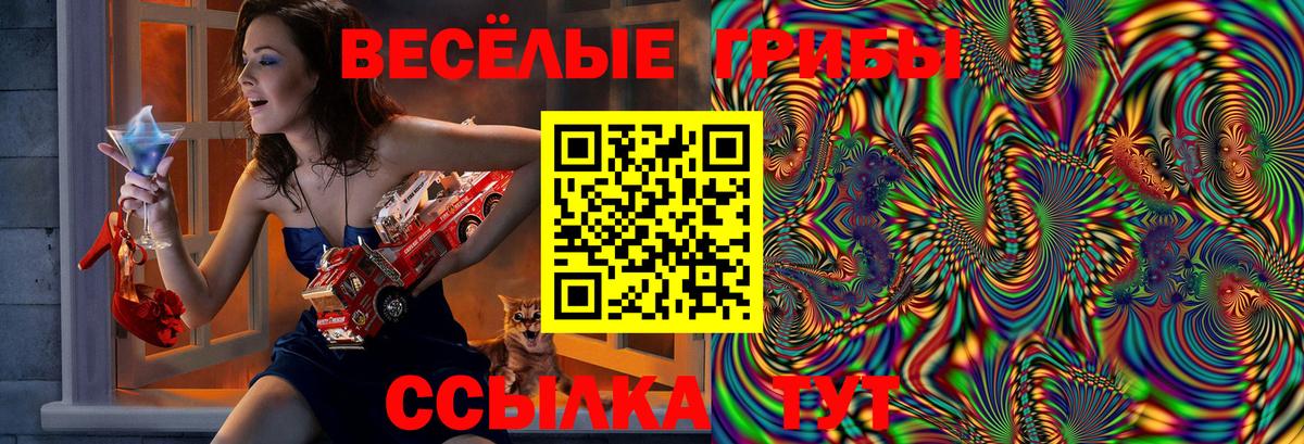 Галлюциногенные грибы прущие грибы Красный Сулин